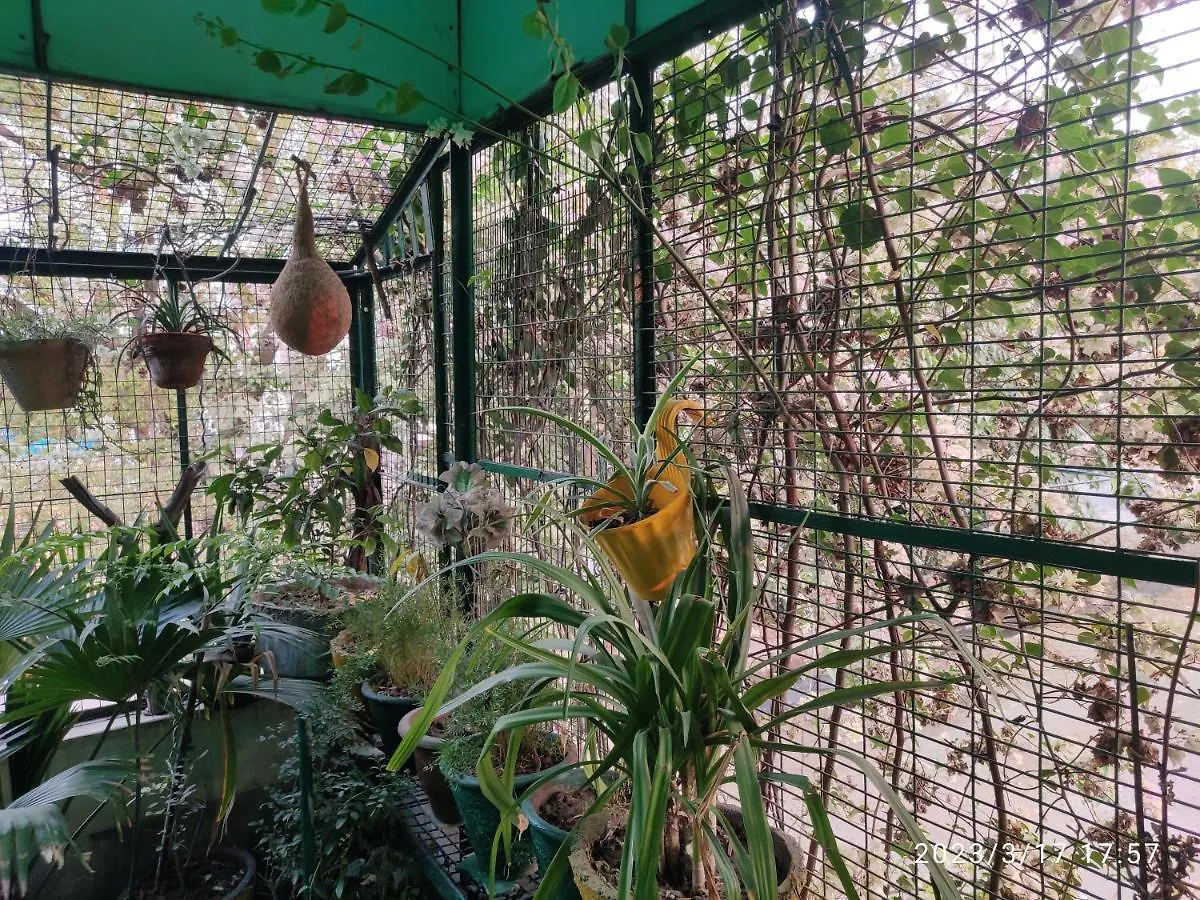 Max Guest House Agra