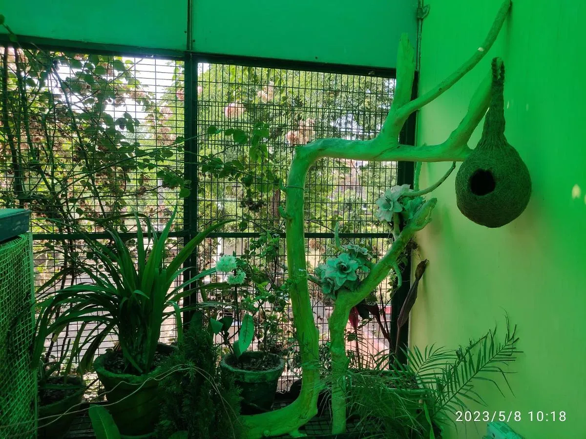 Max Guest House Agra  0*, Agra (Uttar Pradesh) India