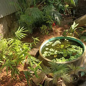 Adams Wood House Ayurveda Séjour chez l'habitant Kochi